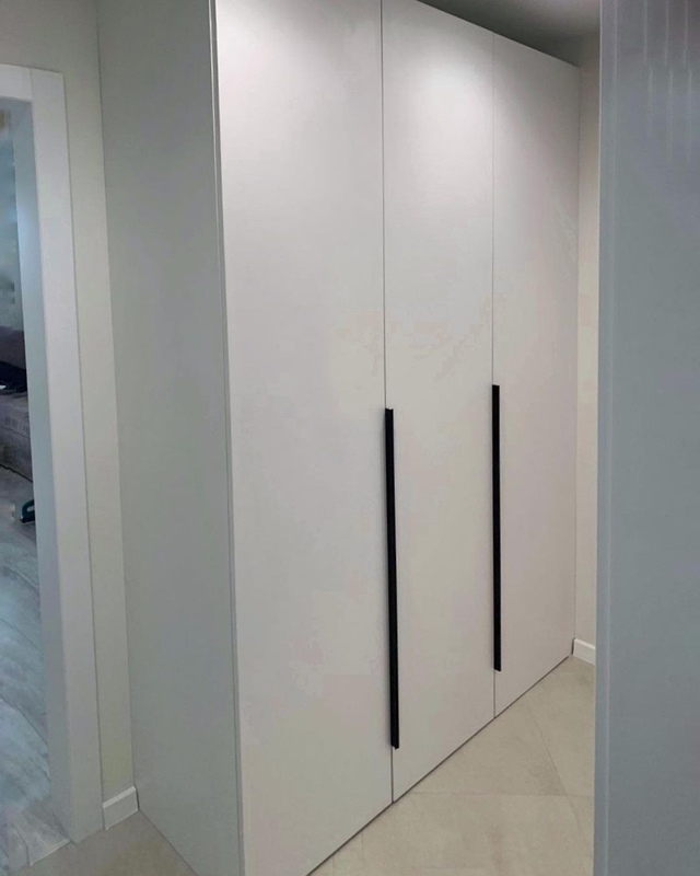 Распашные шкафы-Шкаф с распашными дверями по размеру «Модель 28»-фото1